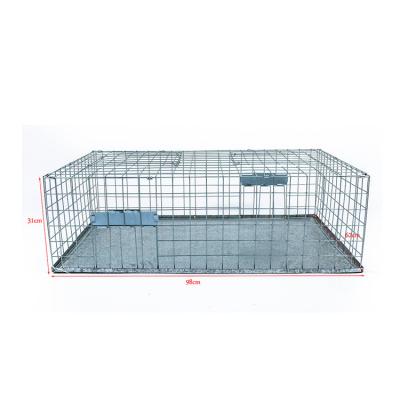 China Quick and easy hook viable Live Bird Trap Cage Ready for use à venda