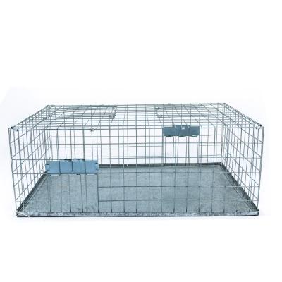 Cina Viable Collapsible Galvanized Pigeon Bird Trap Feral Pigeon Trap Cage in vendita