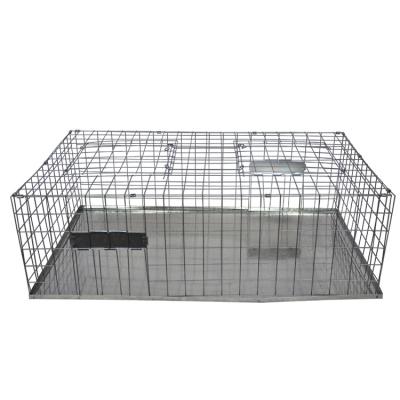 중국 Multi Viable Live Metal Catch Bird Hook Pigeon Trap Cages For Sale 판매용