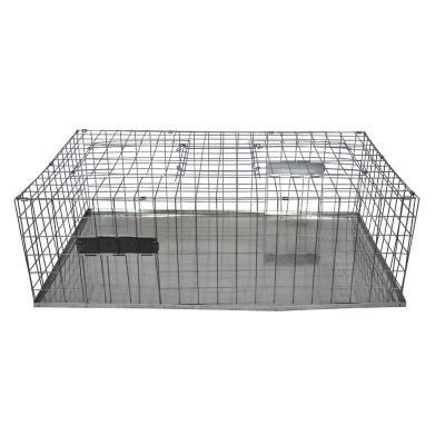 Китай Viable Live Capture Collapsible Bird Cage Humanitarian Traps For Sale продается