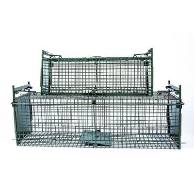 Китай Two Door Viable Live Humane Animal Cage Traps продается