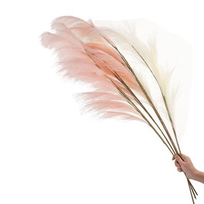 China Wholesale Christmas Wedding Party Decoration HC09927 INS Artificial Tubular Flower Feather Head Pampas Grass Long is used for home wedding decoration for sale