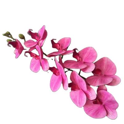 China 52 End Floral Home Decoration HC1842High Color Event Artificial Flower 3D Printing 9 Orchid Household Real Touch Wholesale Plastic Phalaenopsis Flower Latex for sale