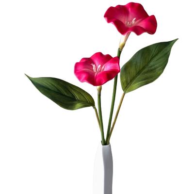 China HC01850 Wholesale decoration/gifts high quality plastic flowersartificial morning glory and trumpet flowers are used for decoration for sale