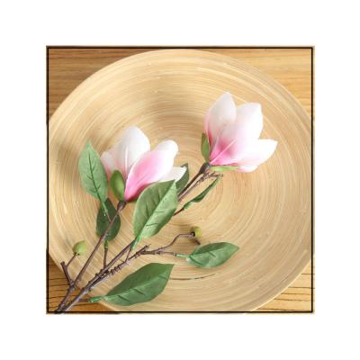 China Double headed home decoration pieces / Gifts Magnolia Amazon Christmas decorations decoration cheap price HC15677 for sale