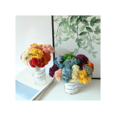 China Popular Decoration/Gifts Christmas Flowers HC17661 Preserved Flower Bouquet Baby's Breath For Home Decoration for sale