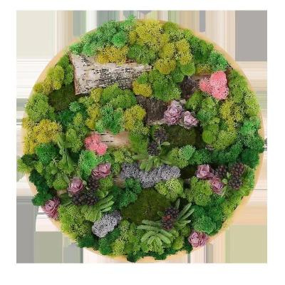 China Green Immortal Moss For Wall Landscape Decoration HC1821 Artificial Immortal Moss Green Wall Hanging Is Used For Office And Home Decoration for sale