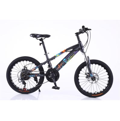 China Mountain Bike 20inch 21 Speed ​​Mountain Bike Steel Cycle Mountain Bike With Special Wheel for sale