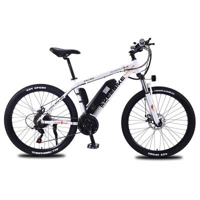 China Standard hot sale 350W ebike for sale