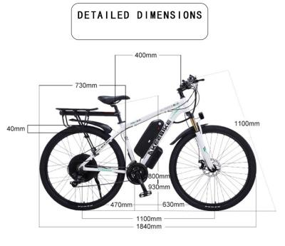 China Standard Electric Bike 29' 48V 1000W Kenda Tire Electric Bicycle Ebike for sale