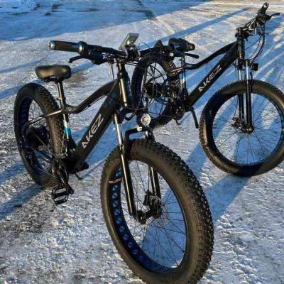 China Aluminum Alloy 26*4.0 Inch Electric Bike Akez MTB Lithium Battery Fat Tire 48V 10AH 750W for sale