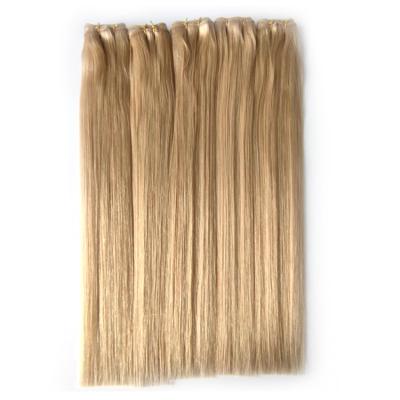 China Best Quality Salon Weft Extensions Professional Intact Double Drawn Cuticle Weft Russian Hair for sale