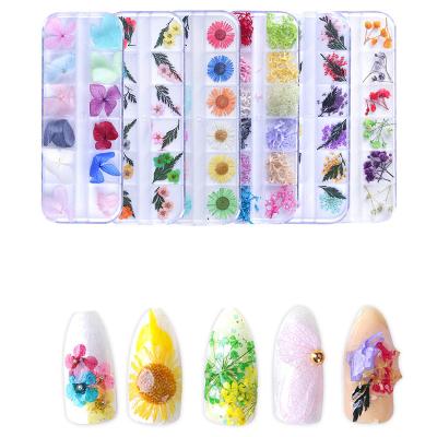 China New Japanese natural flower set boxed 12 color 3d jewelry lace gypsophila five-petal flower nail three-dimensional natural nail dry flower for sale