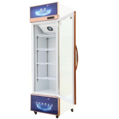 China Commercial Single-temperature Mini Glass Door Display Fridge / Energy Drink Fridge With LED Logo for sale