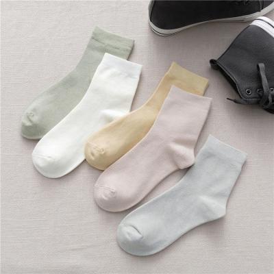 China Beauty Socks Soft Cotton Hygroscopic Sweat Releasing Women Thin Bamboo Lightweight Casual Crew Socks for sale