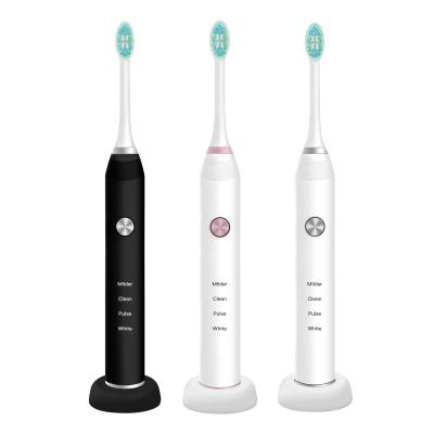 China Rechargeable Type Ningbo Electric Toothbrush Feature Original Location Of Age Head Battery Operated Adult ROHS Waterproof Cordless Key for sale