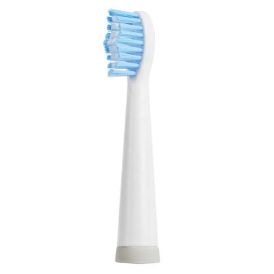 China High Quality Travel Ultrasonic Waterproof Electric Toothbrush ipx7 Battery Operated Sonic for sale