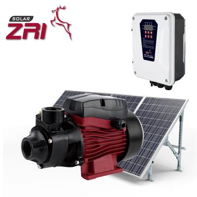 China China Domestic Professional Manufacturer Cheap Price Zri Pump Solar Water Pump 12v For Home for sale