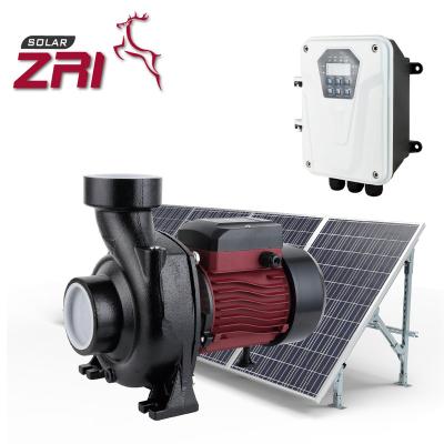 China ZRI 2 Inch /3 Inch/4 Inch DC Water Pump Household Brushless Solar Irrigation Agriculture System High Pressure Solar Power Booster Pump for sale