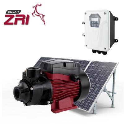 China ZRI 1 inch household brushless solar water pump for agriculture farm irrigation solar submersible pumps outdoor solar irrigation pump for sale