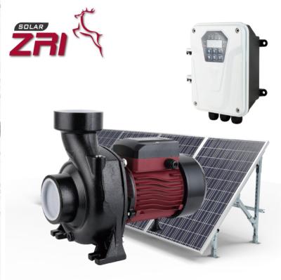 China Zri Household DC Brushless Solar Pump, Solar Surface Water Pump, High Pressure Centrifugal Pump For Agriculture With DC Mppt Controller for sale