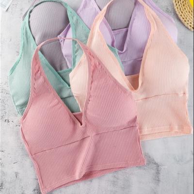 China Yarn Back Cotton Viable Beauty Wrapped Wireless Wrap Tube Bra Halter Vest Chest Hanging Top Vest for sale