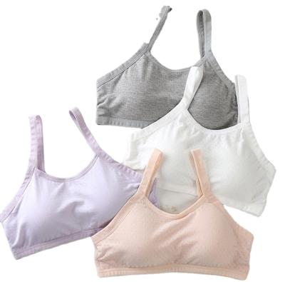 China Back Sling Antibacterial Beauty Wrapped Chest Underwear Summer Female Wrapped Chest Underwear Vest Women Cotton Bra Tube Top for sale