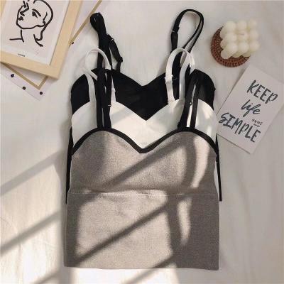 China QUICK DRY New Student Girls Korean Bride Basing Vest Underwear Tops With Chest Pads Seamless Tube Top Bra Cotton Chest Wrap For Woman for sale