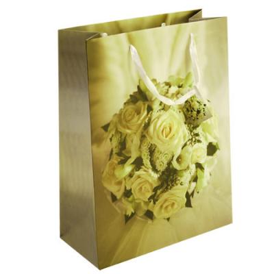 China Recycable Offset or Custom Printing Shopping Paper Gift Bags with Handles for sale