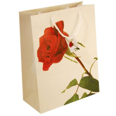 China Personalized Printing Clothing Shopping Bag, C1S FBB board, Kraft, Art Paper Gift Bags with Handles for sale