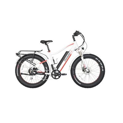 China 1000w/big power fat tire aluminum alloy fat tire bike cheap electric bicycle bike/e fat tire interest for sale