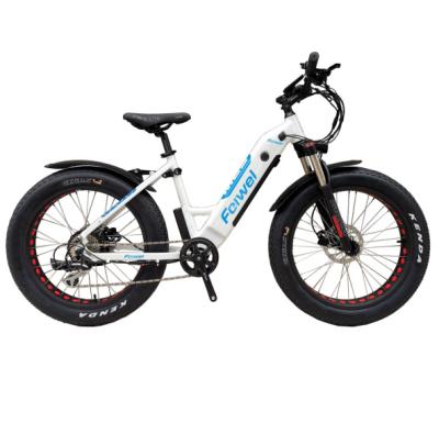 China 2020 Aluminum Alloy Fat Bike 500W TDE10Z Electric Fat Bike With Hidden Battery Electric Bike for sale