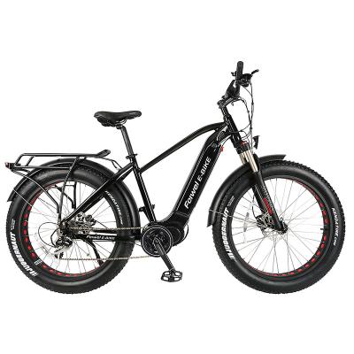 China Aluminum alloy 48V 750w power big tire electric bike/fat tire electric fat bike/e electric bike on sale for sale