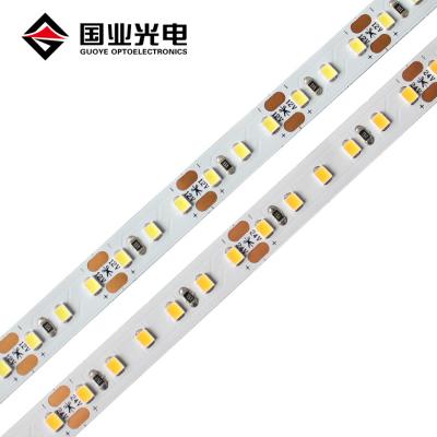 China Economic Bright Smart Led LANDSCAPE Strip Light 12V 24V 2835 120leds/m FPCB 10MM 24w Custom for sale