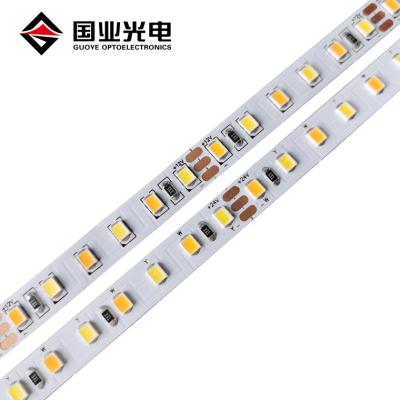 China LANDSCAPE TDC 2835 120leds/m 12v 24v Two Color Dual Color Flexible Led Strip Light Two Colors Led Strips for sale