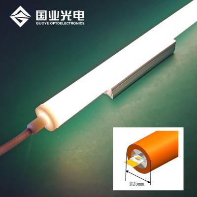 China Construction D25mm Tube Led Neon Flex 360 Degree Light for sale