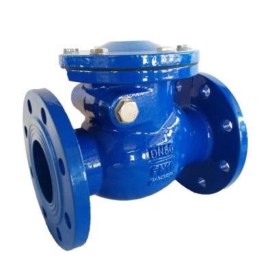 China Factory Malleable Iron Swing Check Valve DN40-DN400 PN10/16 Overall Double Piece Way for sale