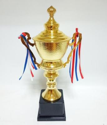 China China Hot Sale Metal Sports Trophy for sale