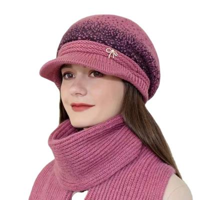 China Dome Wool Hat Foreign Trade Wholesale 2022 Winter New Women's Wool Hat Thickened Cold-proof Painter Hat Knitted Hat for sale