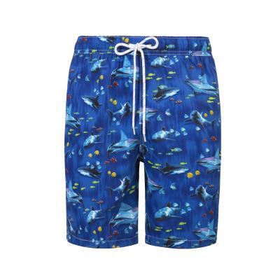 China QUICK DRY Mens Beach Shorts Swim Trunks Quick Dry Running Classic Fit for sale