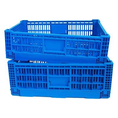 China Eco-friendly Raw Material JOIN 600*400*255mm Plastic Foldable Storage Basket Perforated Moving Box Transporting Collapsible Crate With Lid for sale