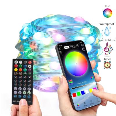 China Customize LED 5V USB PVC Light String 10m Smart RGB Decoration Power Supply App Fairy Lights Home Christmas Wedding Party for sale