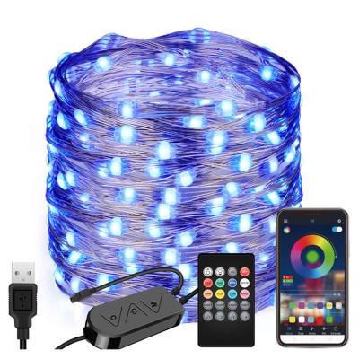 China Can Customized 2021 Hot Selling Voice Control Multiple Colors 15M (49.2FT) 150 LED USB Powered Copper Wire Lamps Smart Led String Lights for sale