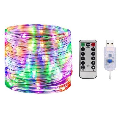 China Multifunctional Remote Control Christmas Decoration USB LED Rope Light for Garden Holiday Decoration for sale