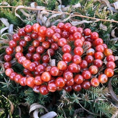 China Wholesale High Quality Bulk China Crystal Carnelian Natural Bracelet For Women Healing Energy for sale