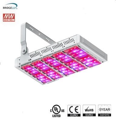 Verified China supplier - Shenzhen Better Lighting Co., Ltd.