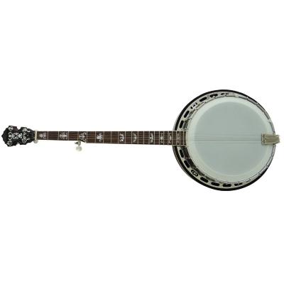 China High Quality Afanti 5 Strings Chinese Musical Instruments Mahogany Banjo For Sale for sale