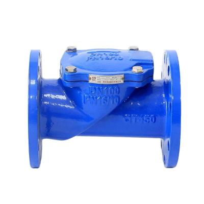 China Factory Sale Various Ductile Seal Durable Non Return Water Valve Iron Check Valves for sale