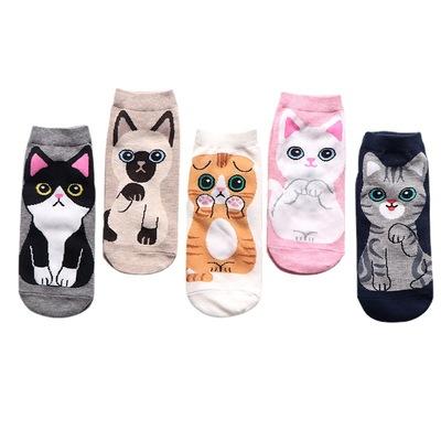 China Lovely Shunxin School Antibacterial Soft Socks For Women Girls Cartoon Cut Sock Cute Animal Ankle Socks Summer Cotton Low for sale