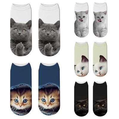 China Hot-selling comfortable wholesale cartoon animal cat printed socks antibacterial SX design new no show socks for men and women for sale